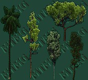 Set of Trees